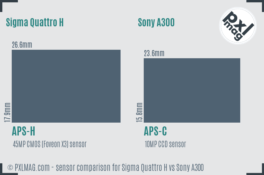 Sigma Quattro H vs Sony A300 sensor size comparison