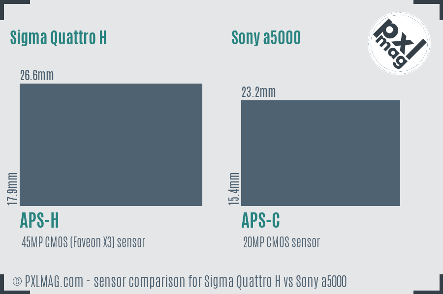 Sigma Quattro H vs Sony a5000 sensor size comparison