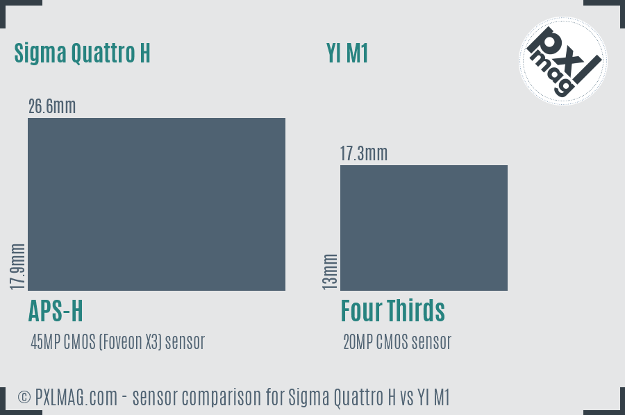 Sigma Quattro H vs YI M1 sensor size comparison