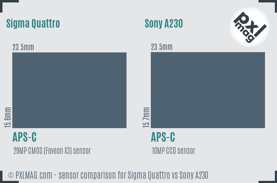 Sigma Quattro vs Sony A230 sensor size comparison