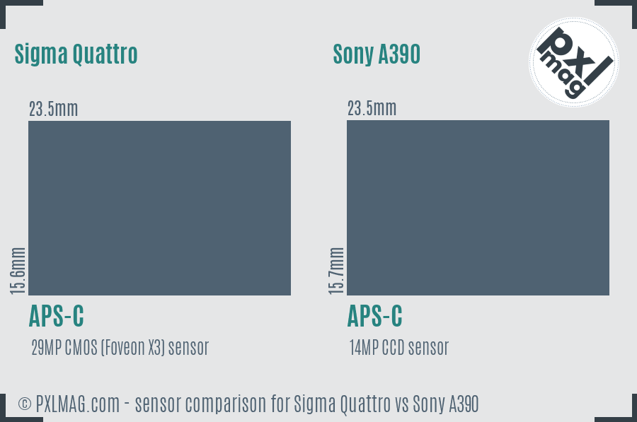 Sigma Quattro vs Sony A390 sensor size comparison Sigma Quattro vs Sony A390 sensor size comparison