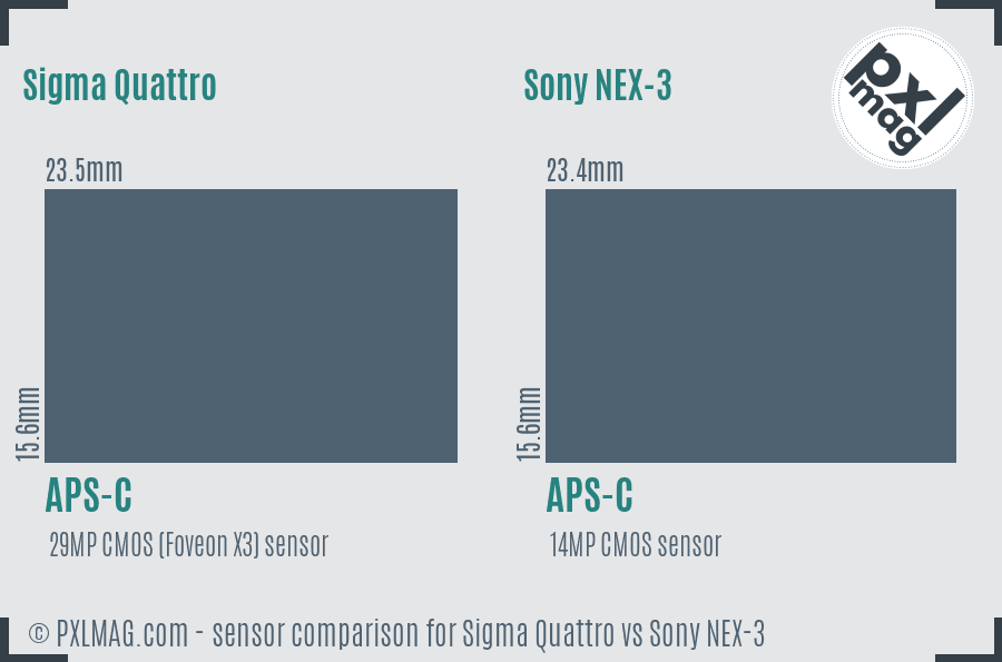 Sigma Quattro vs Sony NEX-3 sensor size comparison