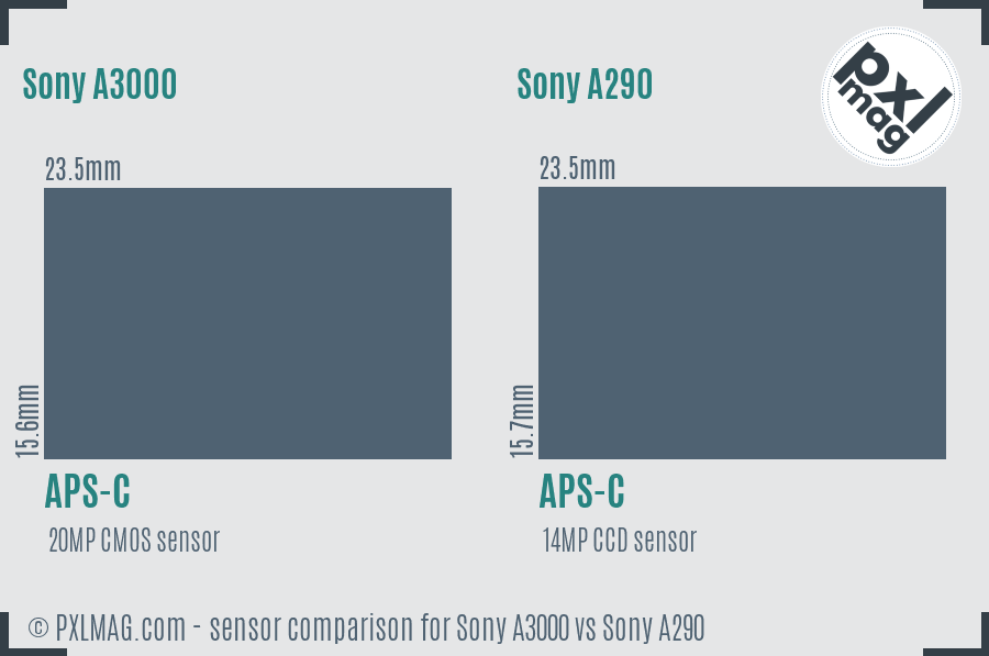 Sony A3000 vs Sony A290 sensor size comparison