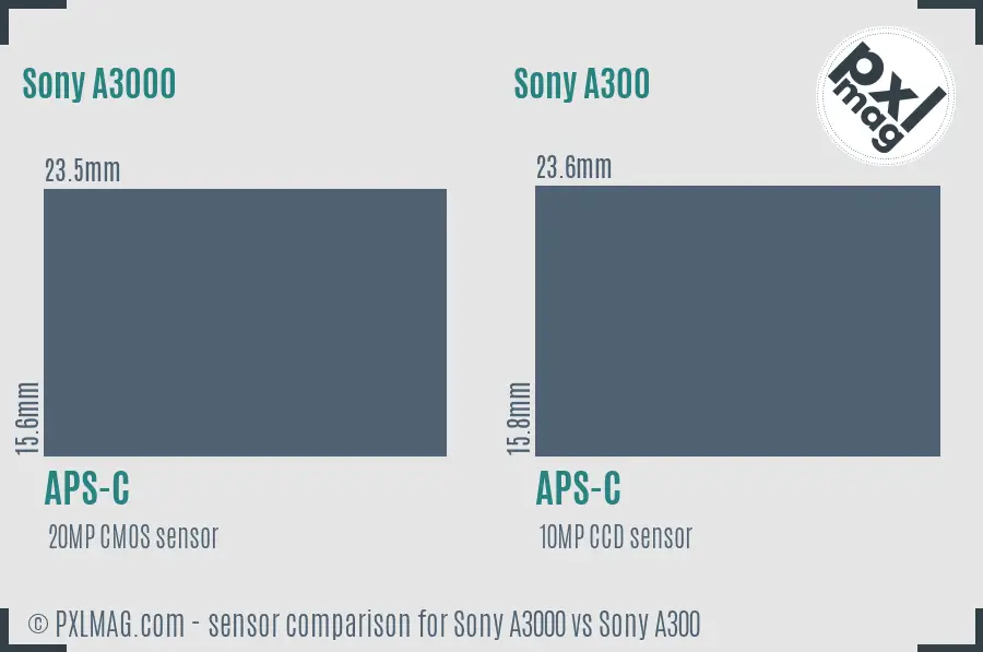 Sony A3000 vs Sony A300 sensor size comparison Sony A3000 vs Sony A300 sensor size comparison