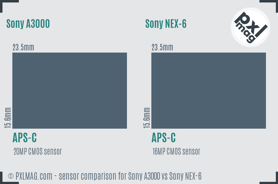 Sony A3000 vs Sony NEX-6 sensor size comparison