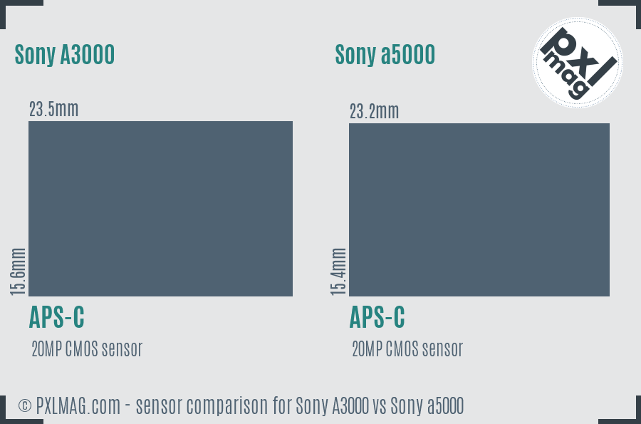 Sony A3000 vs Sony a5000 sensor size comparison