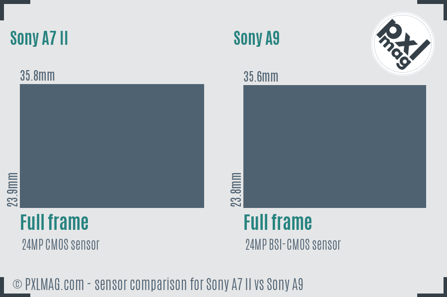 Sony A7 II vs Sony A9 sensor size comparison