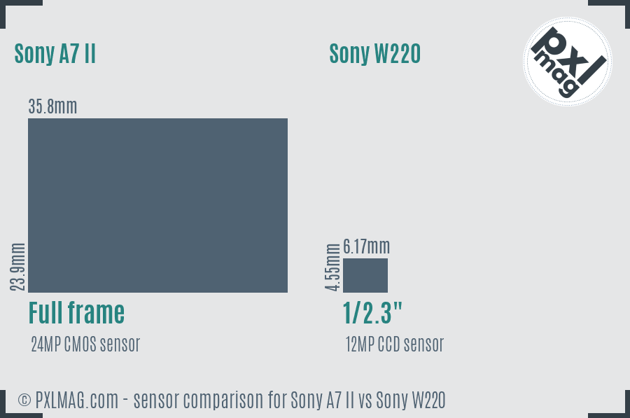 Sony A7 II vs Sony W220 sensor size comparison