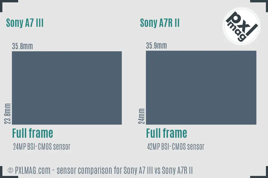 Sony A7 III vs Sony A7R II sensor size comparison