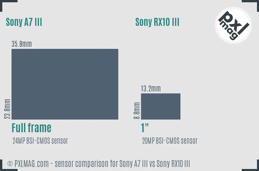 Sony A7 III vs Sony RX10 III sensor size comparison