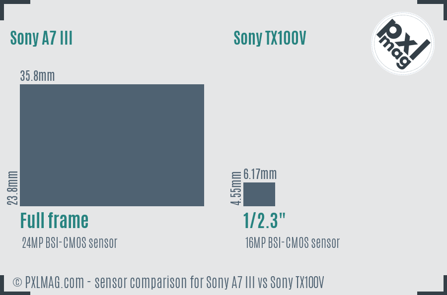 Sony A7 III vs Sony TX100V sensor size comparison