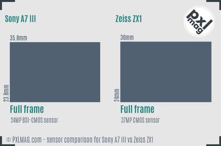 Sony A7 III vs Zeiss ZX1 sensor size comparison