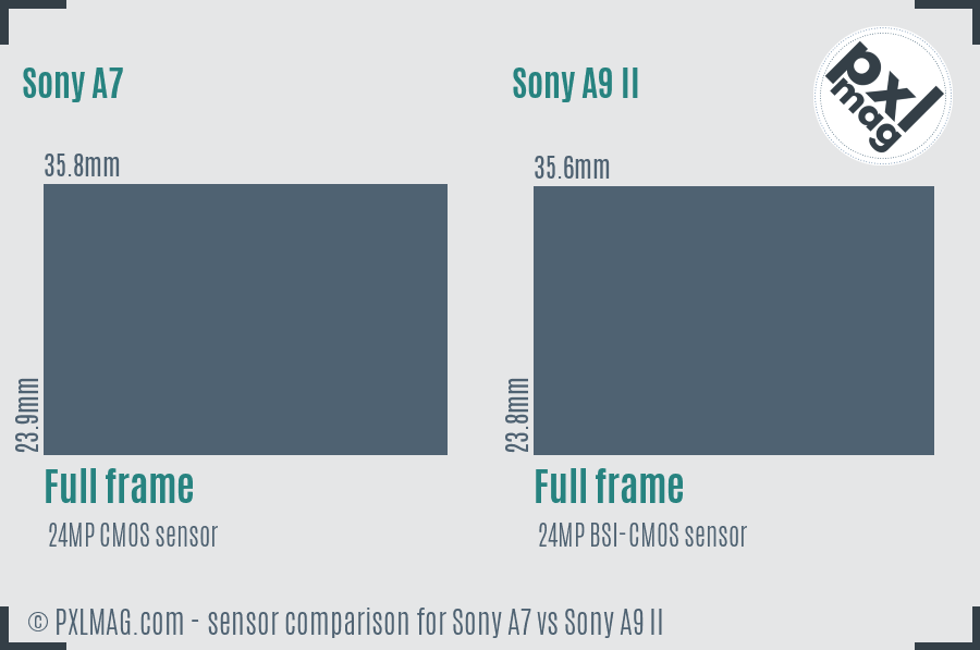 Sony A7 vs Sony A9 II sensor size comparison
