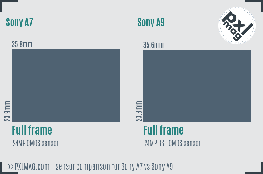 Sony A7 vs Sony A9 sensor size comparison