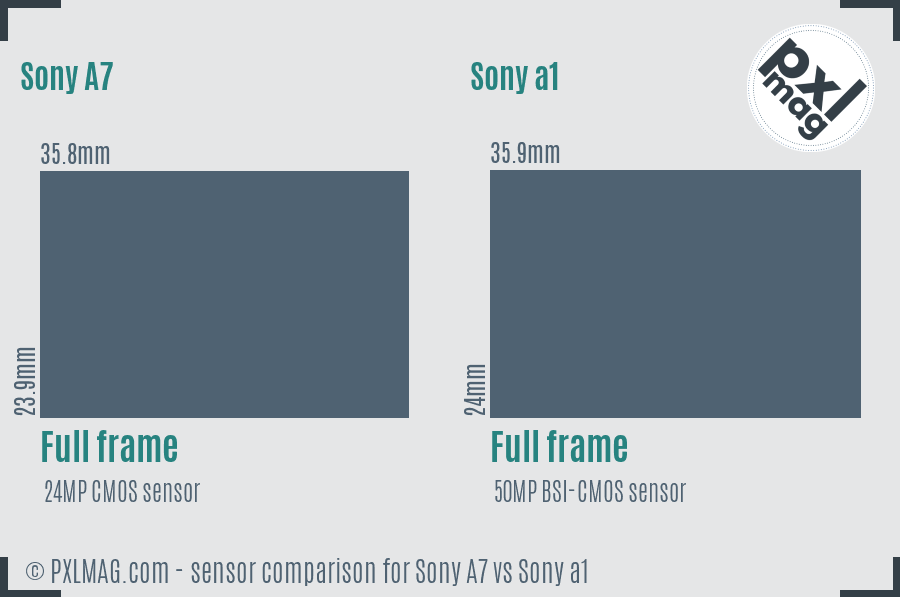Sony A7 vs Sony a1 sensor size comparison