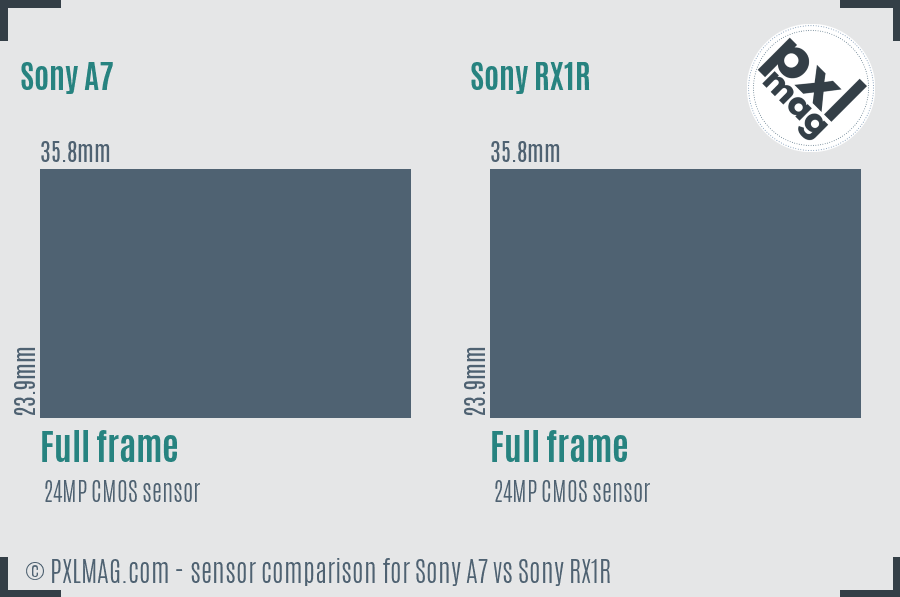 Sony A7 vs Sony RX1R sensor size comparison