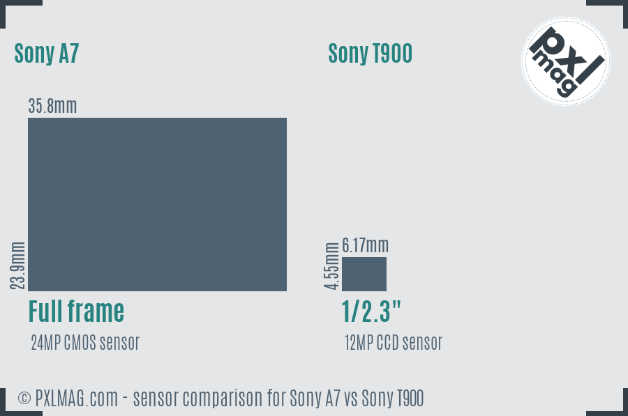 Sony A7 vs Sony T900 sensor size comparison