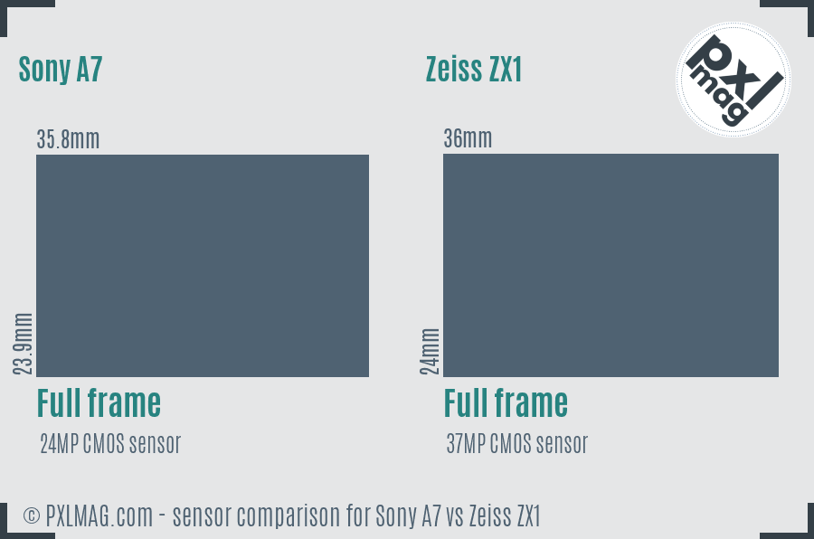 Sony A7 vs Zeiss ZX1 sensor size comparison