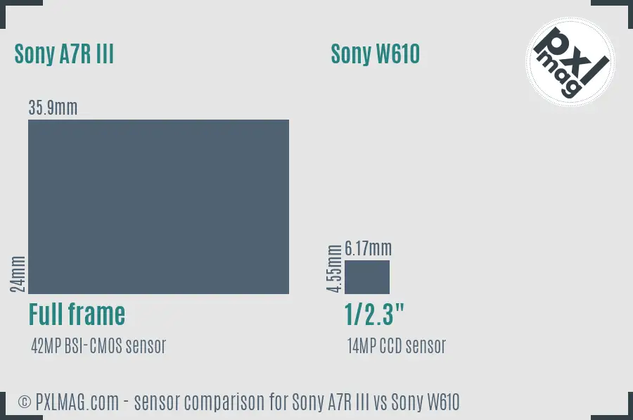 Sony A7R III vs Sony W610 sensor size comparison