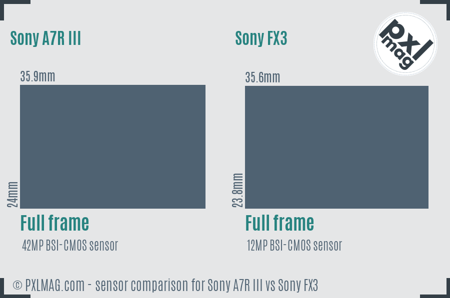 Sony A7R III vs Sony FX3 sensor size comparison Sony A7R III vs Sony FX3 sensor size comparison
