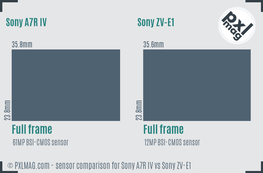 Sony A7R IV vs Sony ZV-E1 sensor size comparison