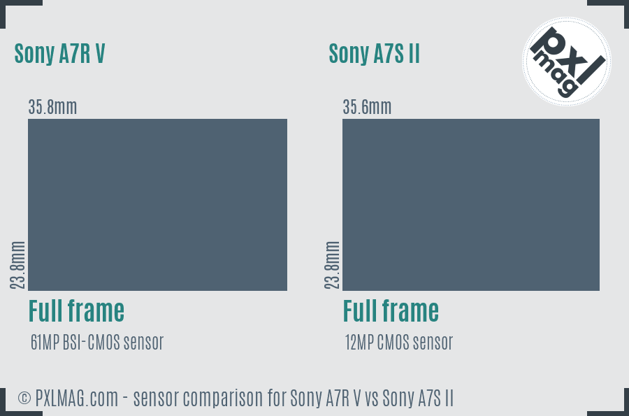 Sony A7R V vs Sony A7S II sensor size comparison