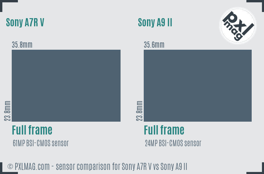 Sony A7R V vs Sony A9 II sensor size comparison