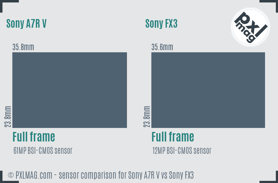 Sony A7R V vs Sony FX3 sensor size comparison