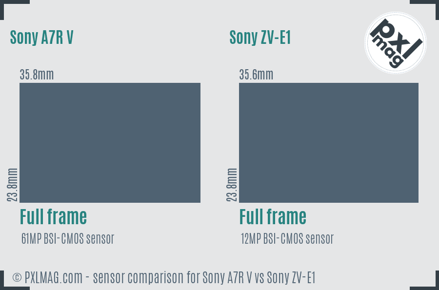 Sony A7R V vs Sony ZV-E1 sensor size comparison
