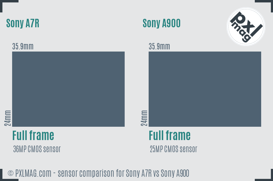 Sony A7R vs Sony A900 sensor size comparison