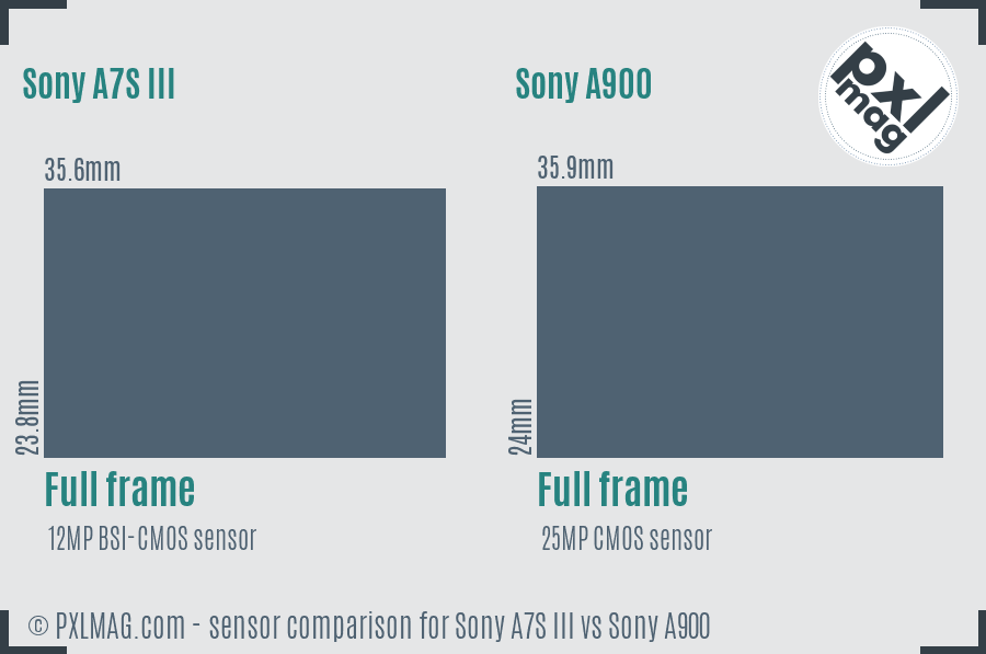 Sony A7S III vs Sony A900 sensor size comparison