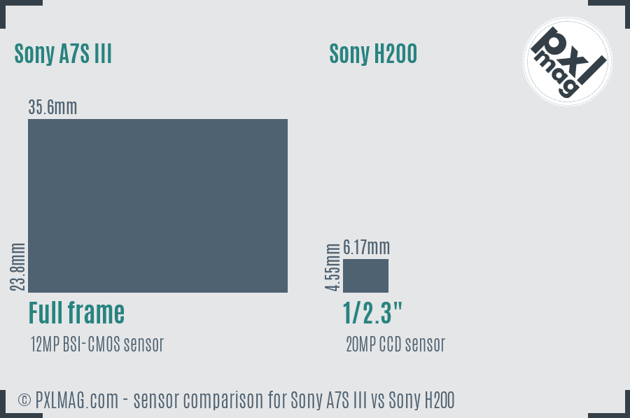 Sony A7S III vs Sony H200 sensor size comparison