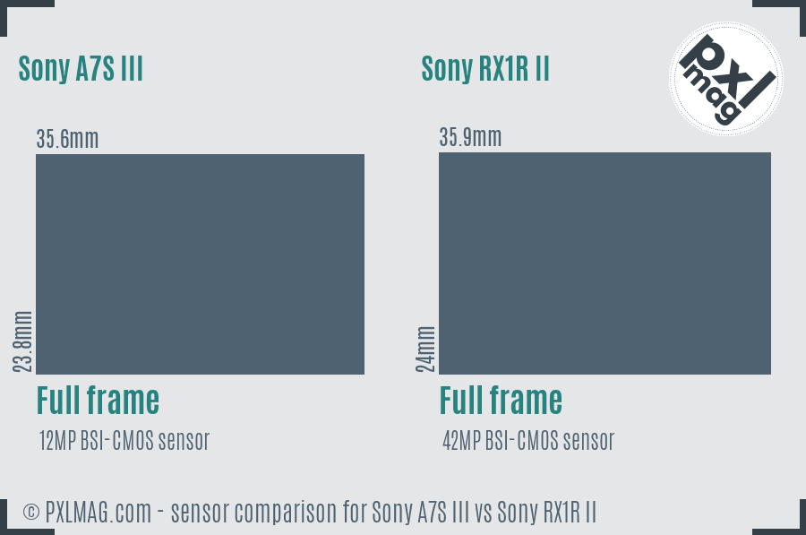 Sony A7S III vs Sony RX1R II sensor size comparison
