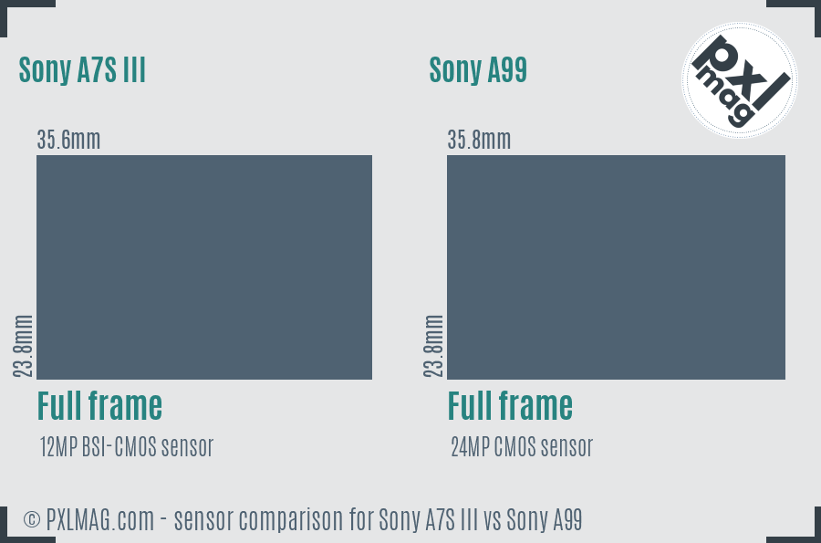 Sony A7S III vs Sony A99 sensor size comparison