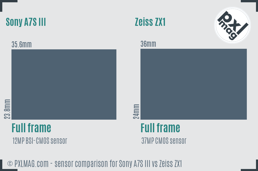 Sony A7S III vs Zeiss ZX1 sensor size comparison