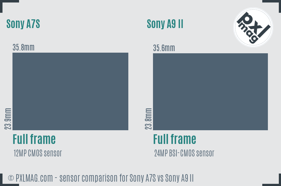 Sony A7S vs Sony A9 II sensor size comparison