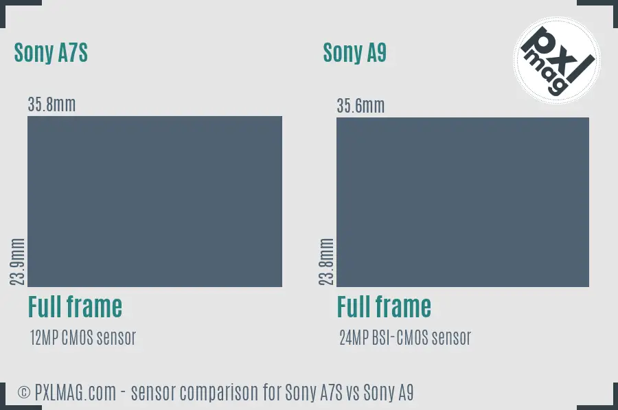 Sony A7S vs Sony A9 sensor size comparison