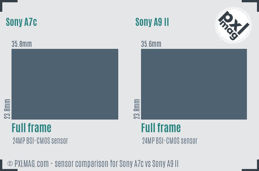 Sony A7c vs Sony A9 II sensor size comparison