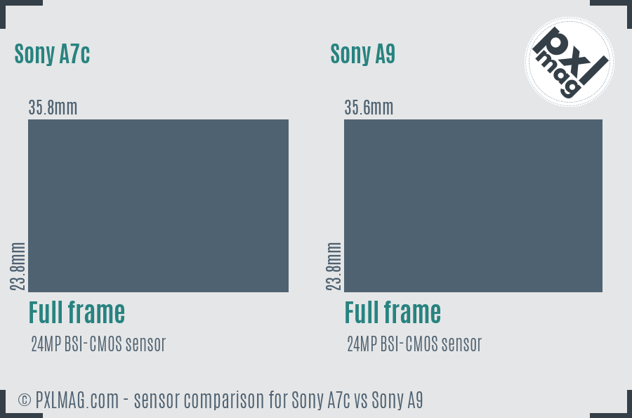 Sony A7c vs Sony A9 sensor size comparison