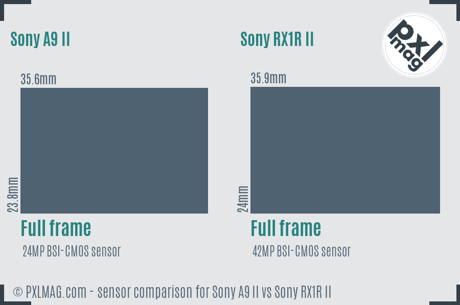 Sony A9 II vs Sony RX1R II sensor size comparison
