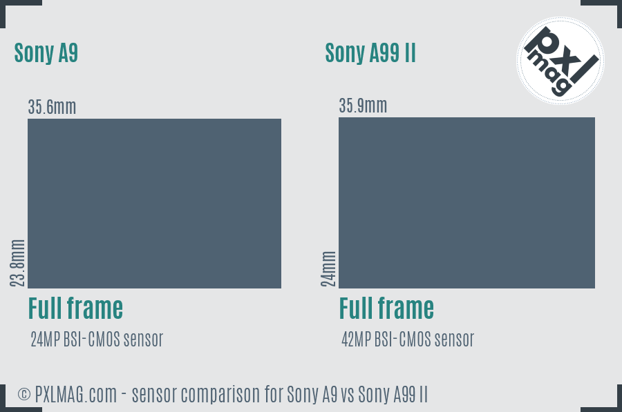 Sony A9 vs Sony A99 II sensor size comparison