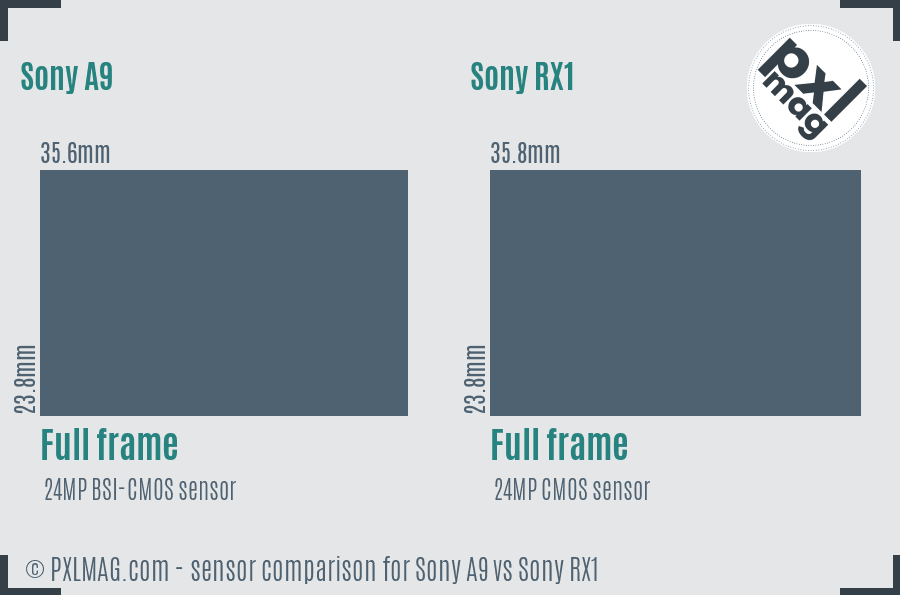 Sony A9 vs Sony RX1 sensor size comparison