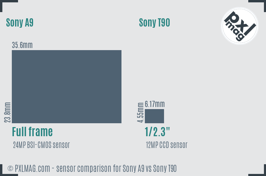 Sony A9 vs Sony T90 sensor size comparison