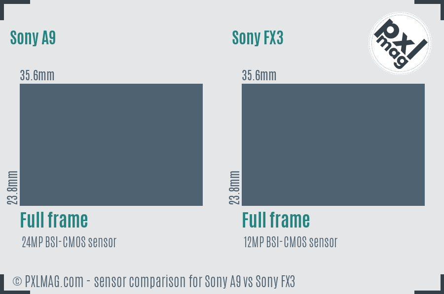 Sensor specifications and image quality discussion