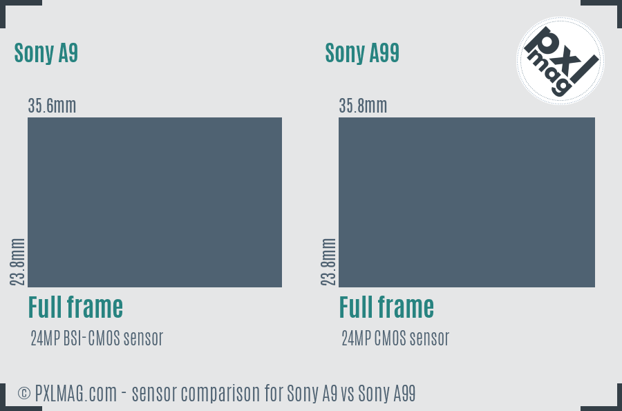Sony A9 vs Sony A99 sensor size comparison