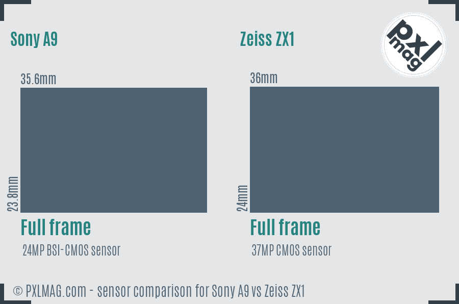 Sony A9 vs Zeiss ZX1 sensor size comparison