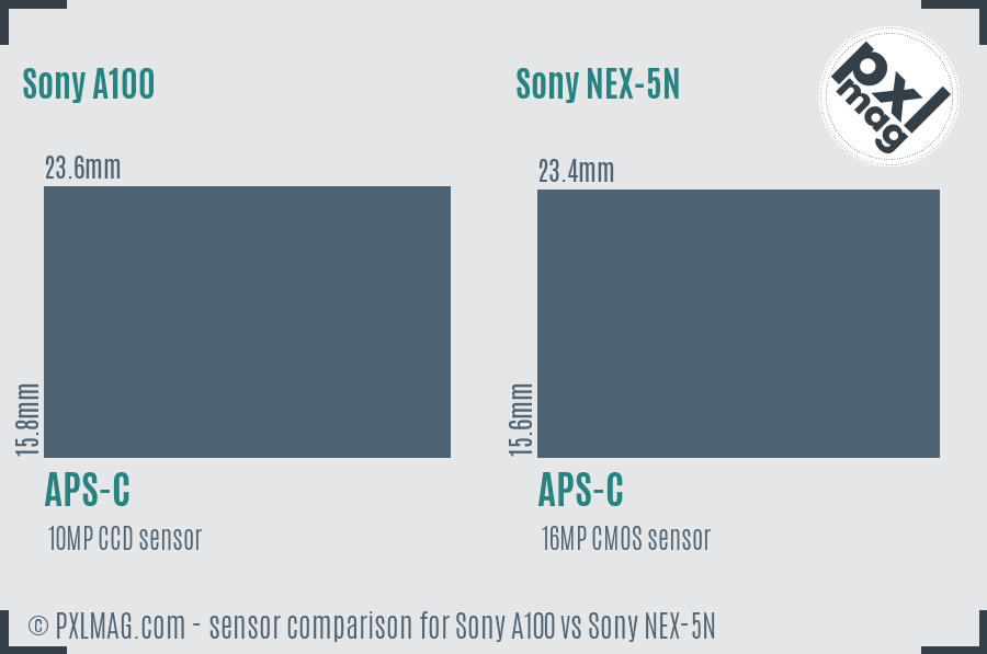 Sony A100 vs Sony NEX-5N sensor size comparison