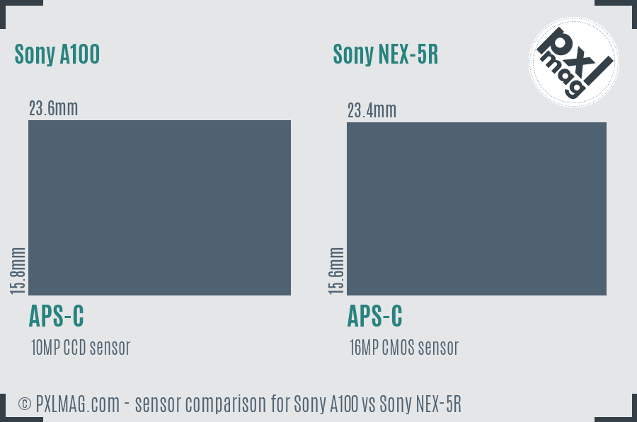 Sony A100 vs Sony NEX-5R sensor size comparison