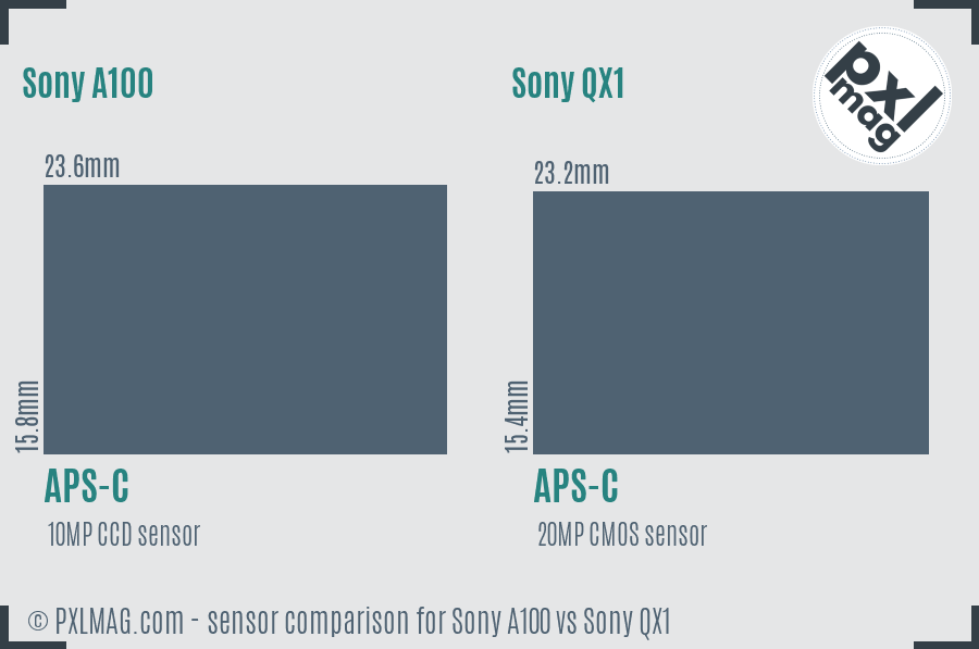 Sony A100 vs Sony QX1 sensor size comparison