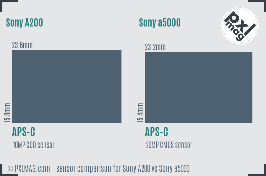 Sony A200 vs Sony a5000 sensor size comparison